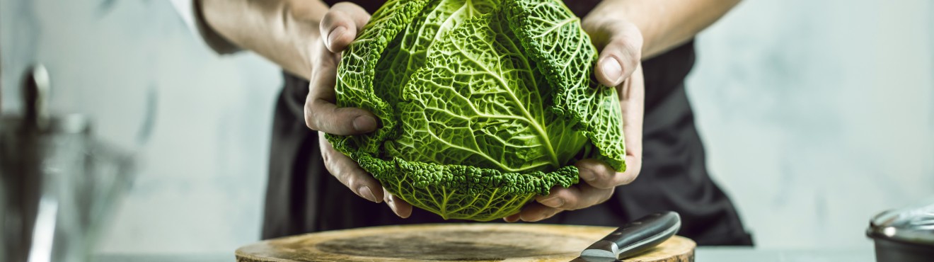 Ricette per cucinare la verza in modo gustoso - Scopri come trasformare questo ortaggio in deliziose pietanze | Agricook