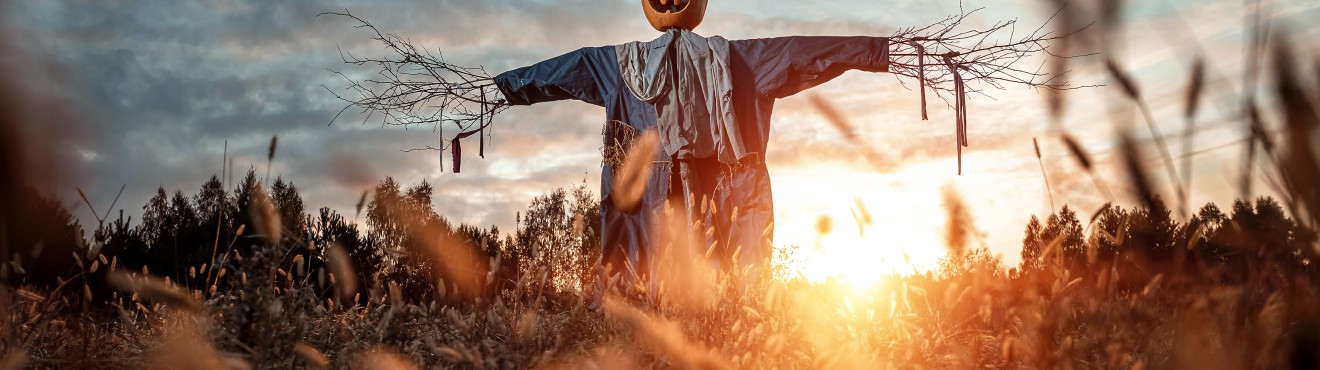 5 motivi per trascorrere Halloween in agriturismo | Agricook