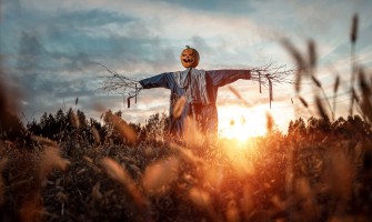 5 motivi per trascorrere Halloween in agriturismo | Agricook