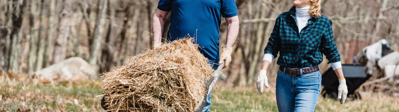 Il ruolo delle cooperative agricole nella sostenibilità del settore | AgriCook Il ruolo delle cooperative agricole nella sostenibilità del settore | AgriCook