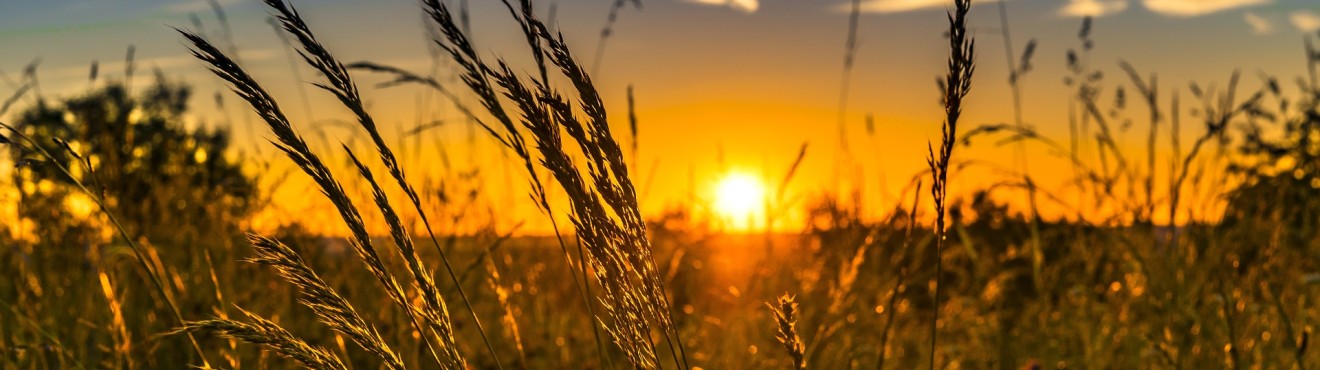 Vendita Online Prodotti Italiani: Una Soluzione per Ogni Palato | AgriCook