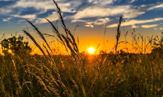 Vendita Online Prodotti Italiani: Una Soluzione per Ogni Palato | AgriCook