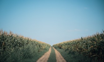 Agricoltura italiana: un patrimonio da valorizzare | AgriCook