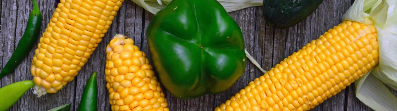 Organic Farming: Health and Environmental Benefits
