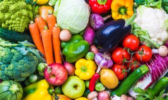Organic Agriculture and its Importance: A journey through health, environment and sustainability