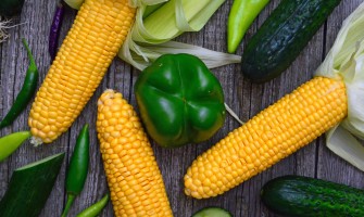 Organic Farming: Health and Environmental Benefits
