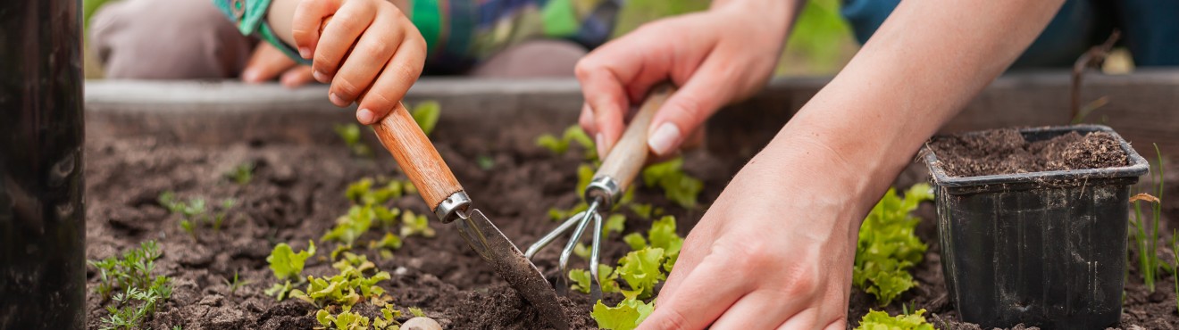 Family Farming: A Resource for Rural Communities | AgriCook