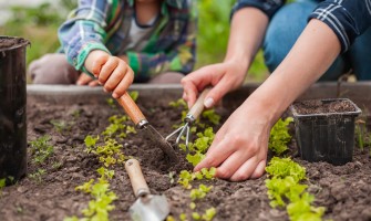 L'agricoltura familiare: una risorsa per le comunità rurali | AgriCook