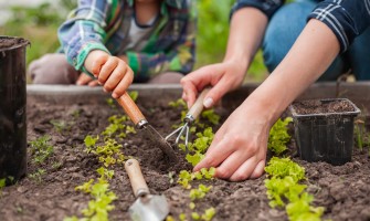 L'agricoltura familiare: una risorsa per le comunità rurali | AgriCook