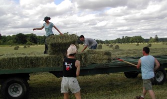 La storia dietro ogni prodotto: conoscere i tuoi produttori locali | Agricook