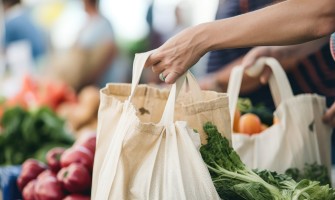 L Importanza della Biodiversità nell Agricoltura Sostenibile