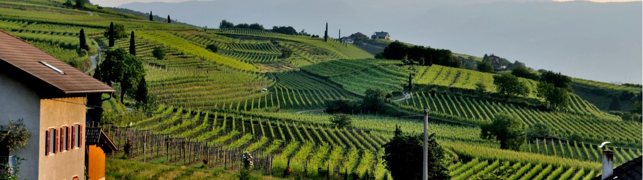 Agriturismo Sostenibile: Un Approccio Ecologico alla Tradizione Rurale Italiana