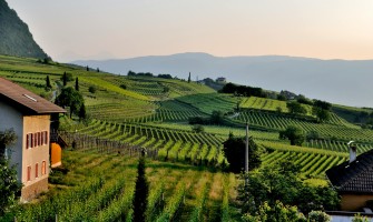 Agriturismo Sostenibile: Un Approccio Ecologico alla Tradizione Rurale Italiana