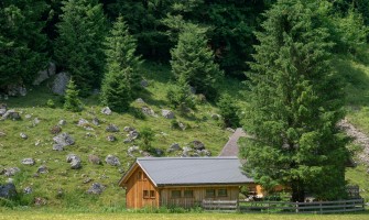 Digitalizzare il Tuo Agriturismo: I Vantaggi di Unirsi a Agricook