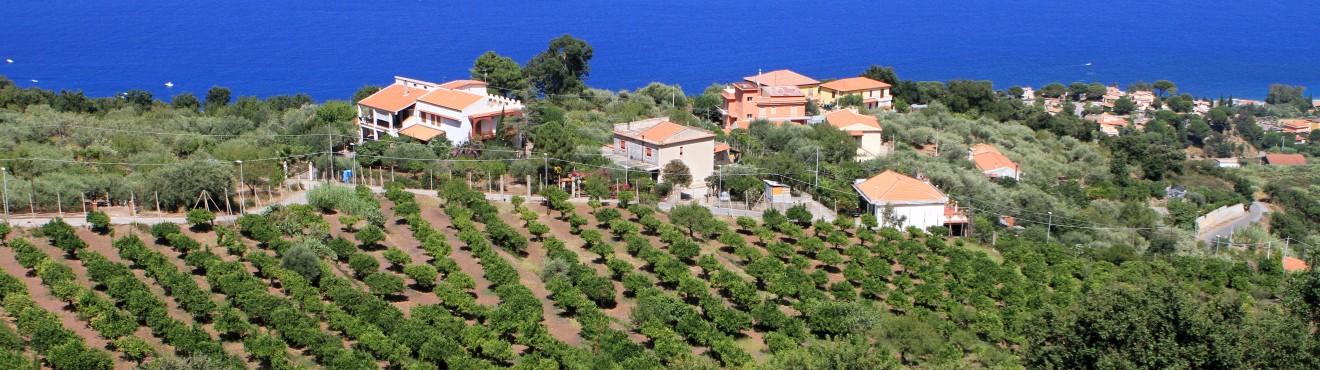 Agriturismo in Sicilia: cosa mangiare sull isola | Agricook