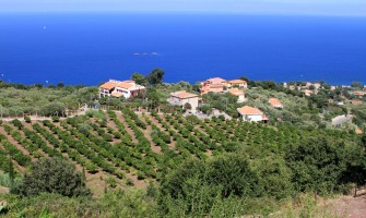 Agriturismo in Sicilia: cosa mangiare sull isola | Agricook