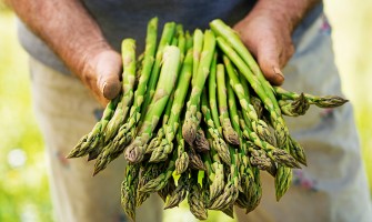 L'Importanza della Filiera Corta nell'Agricoltura Sostenibile