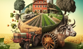 Aziende agricole multifunzionali: diversificazione delle attività e nuove opportunità di mercato | AgriCook