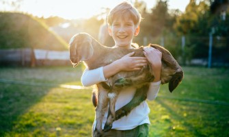 Agriturismo con bambini: vacanza di qualità | Agricook