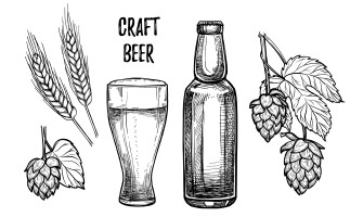 Birra artigianale: cos e e dove comprarla | Agricook