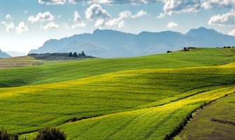 The importance of sustainable agriculture in the future of our planet | Agricook
