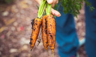 I benefici della filiera corta per produttori e consumatori | AgriCook