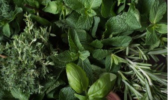 Erbe aromatiche per piatti più gustosi e digeribili | Agricook