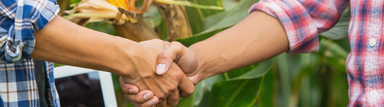 Marketing agroalimentare: opportunità di crescita e sviluppo | Agricook