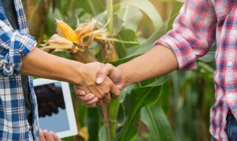 Rivoluziona la Tua Azienda Agricola con Agricook: Come Vendere i Tuoi Prodotti Direttamente Online
