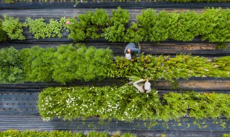 The Future of Farms: Innovative Technologies and New Business Models | AgriCook