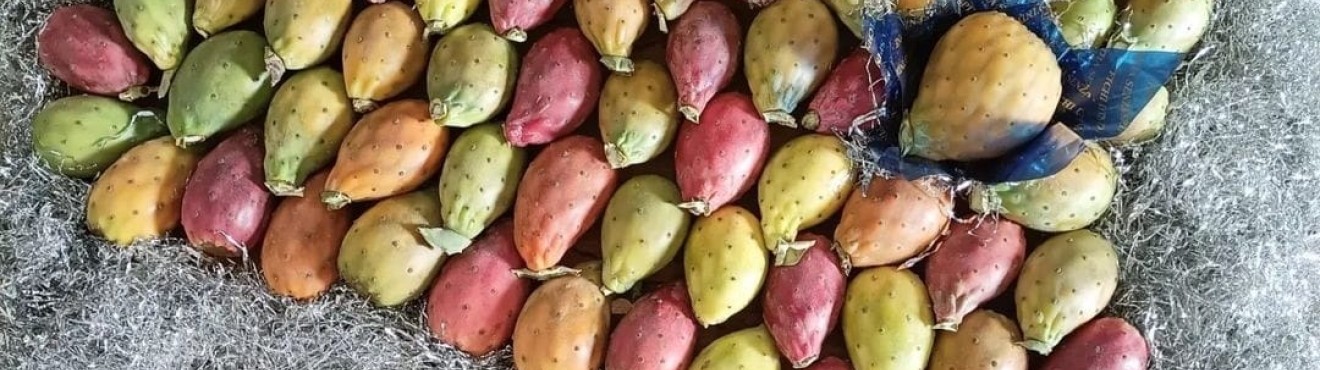 The Charm of Sicilian Prickly Pears: A Mediterranean Delight