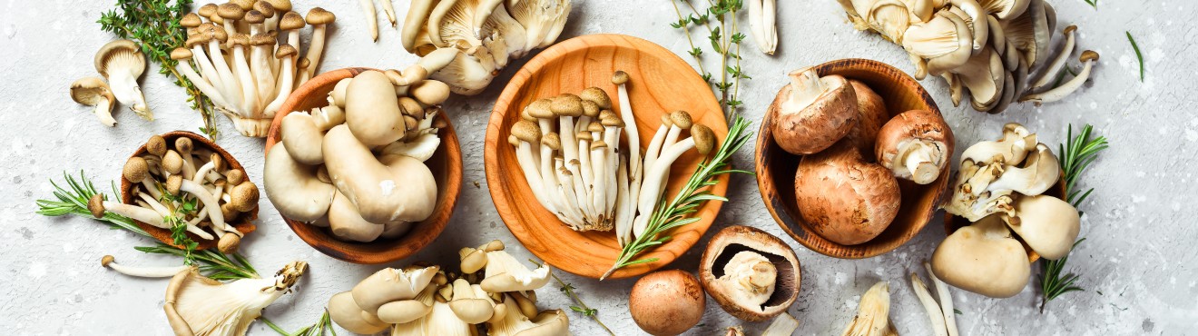 Funghi: come si possono mangiare | Agricook Funghi: come si possono mangiare | Agricook