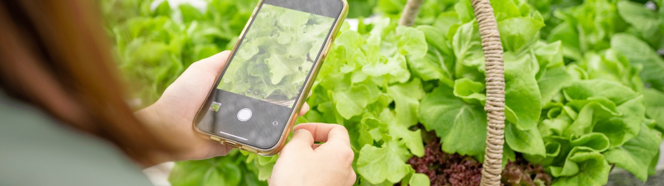 Step-by-Step Guide to Selling Your Farm Products Online | AgriCook