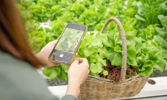Guida passo-passo per vendere i tuoi prodotti agricoli online | AgriCook
