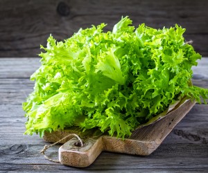 Tipi di lattuga: tutte le varietà per fare l insalata | Agricook