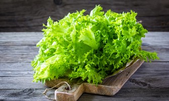 Tipi di lattuga: tutte le varietà per fare l insalata | Agricook
