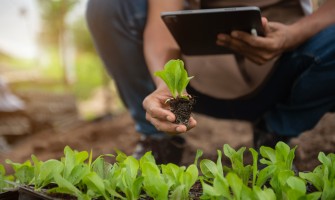 Marketing aziende agricole: come Agricook può aiutare a far crescere il tuo business | Agricook