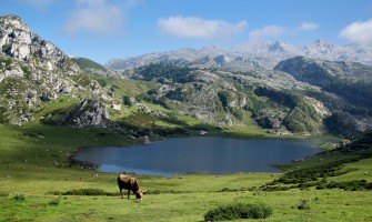 Storie di successo: come Agricook aiuta i piccoli produttori | Agricook