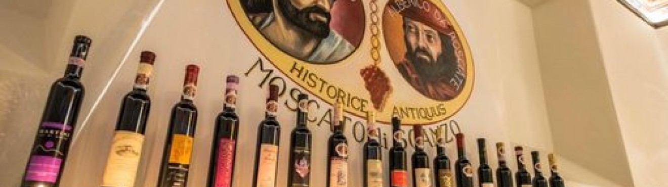 Moscato di Scanzo: scopri il vino rosso dolce della Lombardia su Agricook | AgriCook