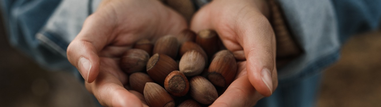 Le Nocciole IGP del Piemonte: Un Tesoro di Gusto e Tradizione | Agricook