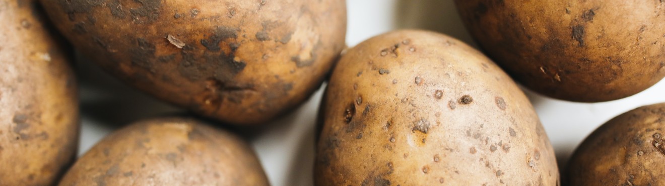 Tutto sulle Patate: Varietà, Semina, Ricette e Acquisto diretto dal Produttore su Agricook | Agricook