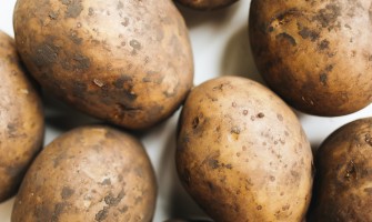 Tutto sulle Patate: Varietà, Semina, Ricette e Acquisto diretto dal Produttore su Agricook | Agricook