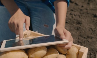 Regolamenti per la vendita online di prodotti agricoli: tutto quello che devi sapere