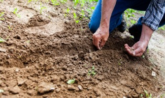 Produttori locali italiani: il segreto di un alimentazione sana | AgriCook