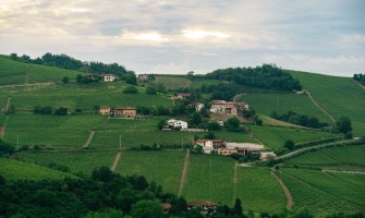 Agriturismi in Piemonte: La Destinazione Perfetta per una Vacanza Rilassante e Ricca di Esperienze | Agricook