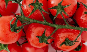The beneficial properties of organic foods: why choose them for your diet | AgriCook