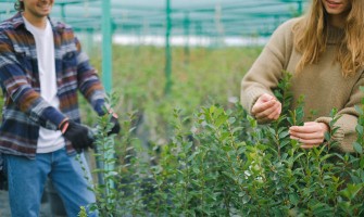 Come preservare al meglio gli ingredienti biologici per garantire lunga durata e massima freschezza | AgriCook