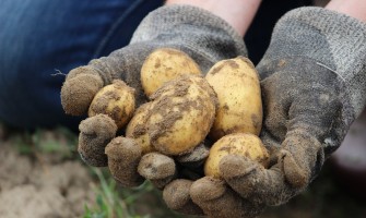 Typical Italian products: the pride of our cuisine | AgriCook