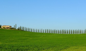 Gli agriturismi: quando l ospitalità incontra l azienda agricola | AgriCook