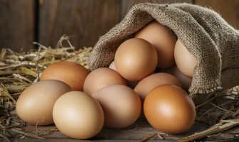 Come riconoscere le uova fresche | Agricook